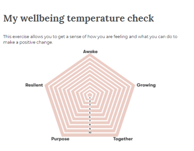 Wellbeing Worksheet snapshot